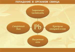 СВИНЕЦ_2